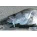 Виб Breaden 13SWAY