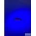 Воблер D3-Custom Dahlia 30SS 3.2g #10
