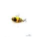 Воблер Tiemco Soft Shell Cicada Hair Wing 40 F #047
