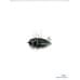 Воблер Tiemco Soft Shell Cicada Hair Wing 40 F #049
