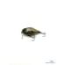 Воблер Zip Baits B-Switcher SSR CRAZE 42mm #058