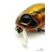 Воблер Zip Baits B-Switcher SSR CRAZE 42mm #058