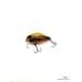 Воблер Zip Baits B-Switcher SSR CRAZE 42mm #M0143 Brown Insect