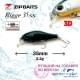 M0145 Glossy Beetle