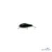 Воблер Zip Baits Rigge 35SS #M0145 Glossy Beetle