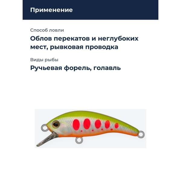 Воблер D-3 Custom Dahlia 45SS #21