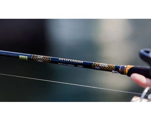 Спиннинг Daiwa 22 Morethan BRANZINO EX AGS 87LML