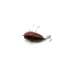Воблер Tiemco Soft Shell Cicada Hair Wing 40 F #201