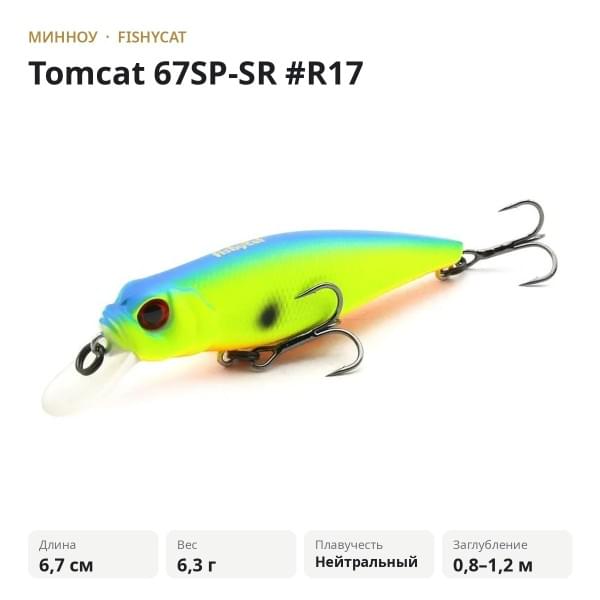 Воблер Fishycat Tomcat 67SP-SR #R17