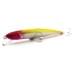 Воблер Fishycat Tigercub 205F #R21