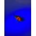 Воблер Tiemco Soft Shell Cicada Hair Wing 40 F #062
