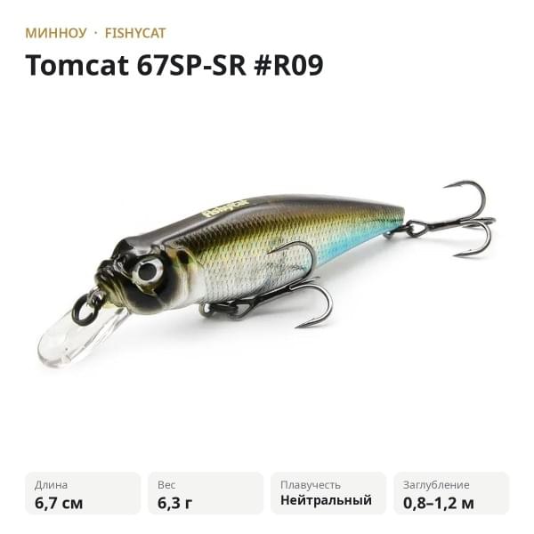 Воблер Fishycat Tomcat 67SP-SR #R09
