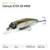 Воблер Fishycat Tomcat 67SP-SR #R09