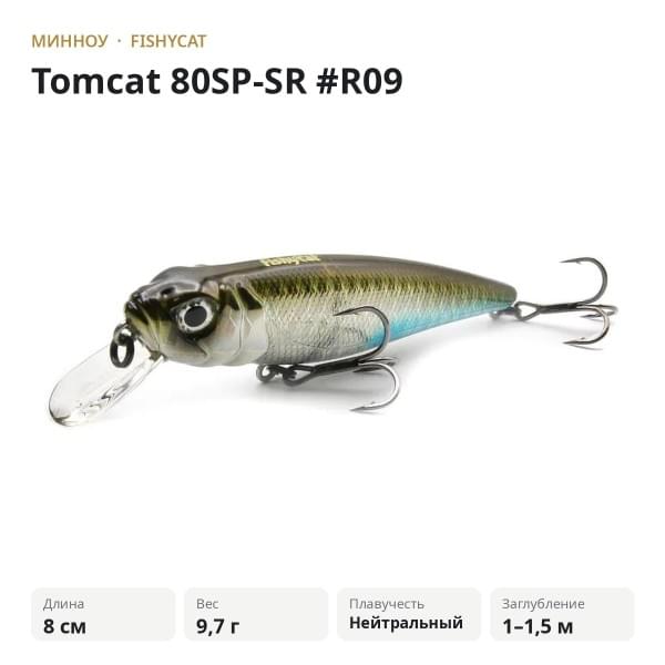 Воблер Fishycat Tomcat 80SP-SR #R09