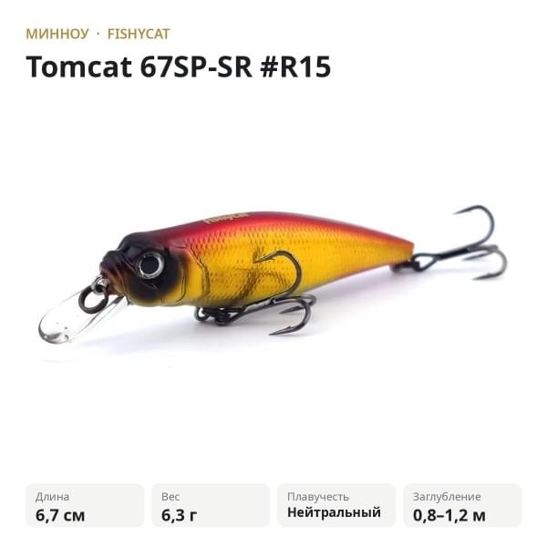 Воблер Fishycat Tomcat 67SP-SR #R15