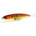 Воблер Fishycat Tigercub 205F #X13