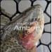 Блесна Smith Amber 1,1гр. №07