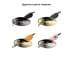 Блесна Smith AR Spinner SH 2,0гр. №21