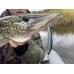 Воблер Smith Jib 110SP 110мм, 12,5гр. №02