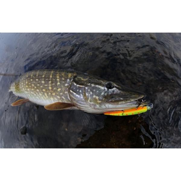 Воблер Smith Составник TS Joint-Minnow 110SP 110мм. 12,3гр. №10