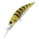 Gold Shrimp