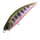 Yamame Red Belly Awabi