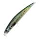 Real Mackerel