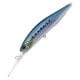 Sardine