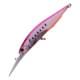 Cherry Sardine BD