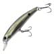 Beast Sexy Shad