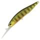 Gold Perch