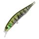 Kohoku Natural Gill