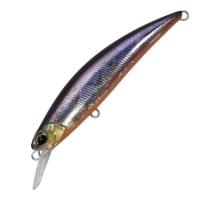 Воблер DUO SPEARHEAD RYUKI 70S : Roach OB (ADA3312)