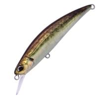 Воблер DUO SPEARHEAD RYUKI 70S : Real Aji (ANA0488)