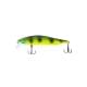 Orange Belly Perch