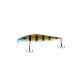 Tiger Shad