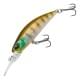 Ghost Gill