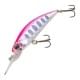 Pink Yamame