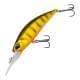 Gold Perch