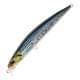 Blackear Sardine