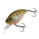 Ghost Gill