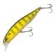 Gold Perch