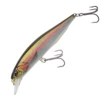 Воблер DUO REALIS JERKBAIT 100 PIKE : Rainbow Trout ND (CCC3836)