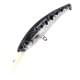 Knifefish ND