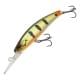 Peacock Bass HD