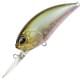 Ghost Minnow