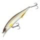 Silver Roach
