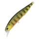 Gold Perch