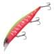 Dragon Fruit Tiger