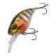 Prism Gill